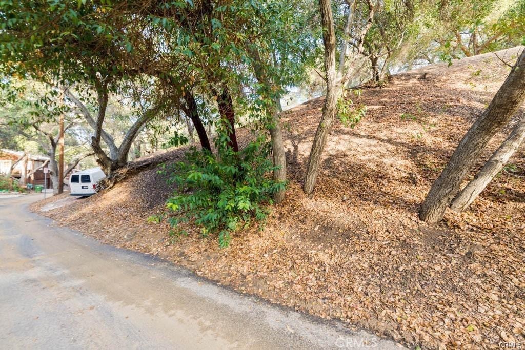 0 Elzevir Road Woodland Hills, CA 91364 - Photo 20 of 30 a street view with large trees
