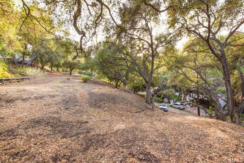 0 Elzevir Road Woodland Hills, CA 91364 - Photo 23 of 30 a view of a yard with large trees