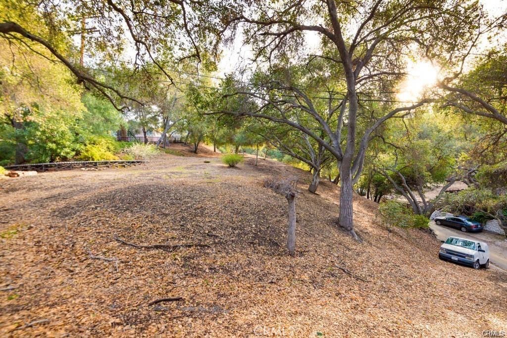 0 Elzevir Road Woodland Hills, CA 91364 - Photo 24 of 30 a view of a yard with a tree