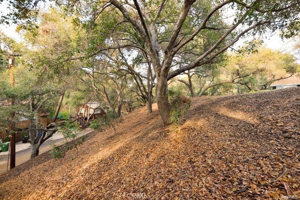 0 Elzevir Road Woodland Hills, CA 91364 - Photo 27 of 30 a view of a yard with plants and trees