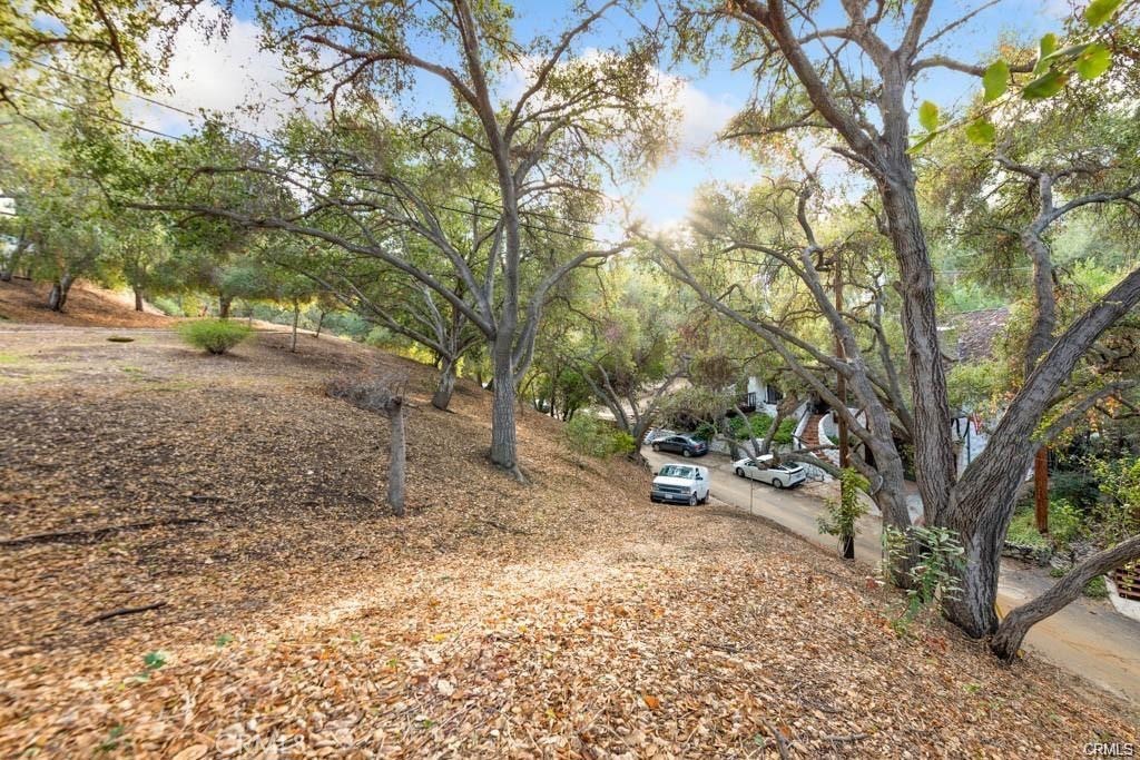0 Elzevir Road Woodland Hills, CA 91364 - Photo 30 of 30 a view of a forest filled with trees