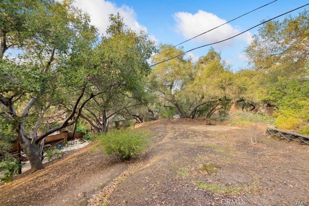 0 Elzevir Road Woodland Hills, CA 91364 - Photo 3 of 30 a view of a yard with a tree
