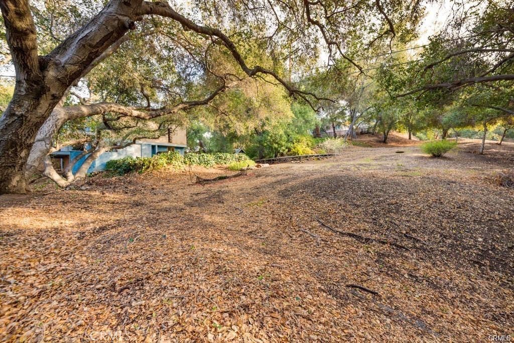 0 Elzevir Road Woodland Hills, CA 91364 - Photo 10 of 30 a view of road with large trees