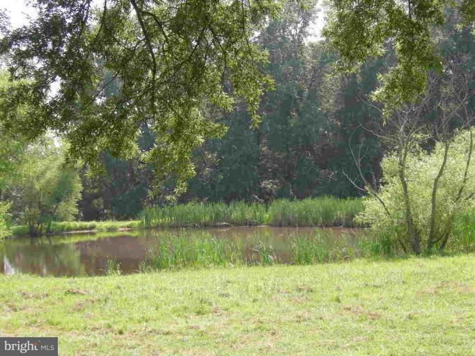 10058 Meetze Road Midland, VA 22728 - Photo 12 of 30 Stocked Pond in back pasture