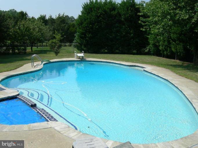 10058 Meetze Road Midland, VA 22728 - Photo 14 of 30 Swimming Pool