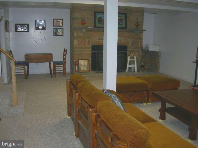 10058 Meetze Road Midland, VA 22728 - Photo 25 of 30 Recreation Room