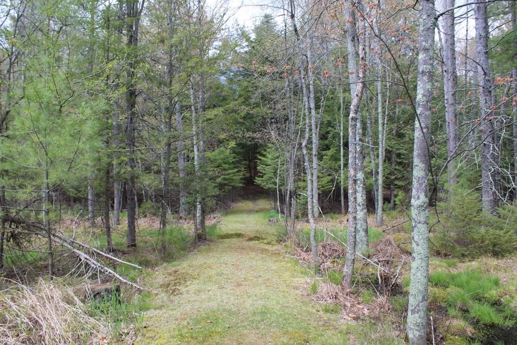 9089 Pickerel Lake Road Pickerel, WI 54465 - Photo 36 of 49 Gallery Image 36