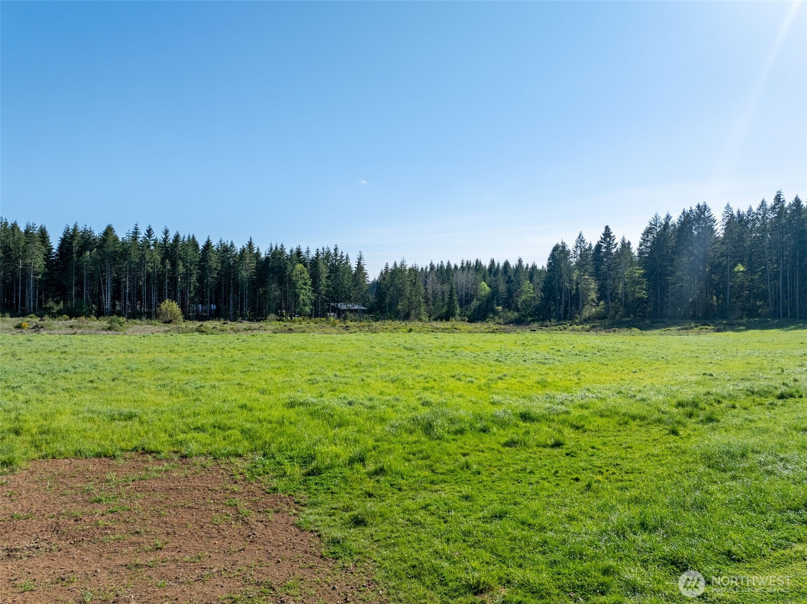 0 McGlaughlin Road, Unit 3 Winlock, WA 98596 - Photo 12 of 13 a view of a yard