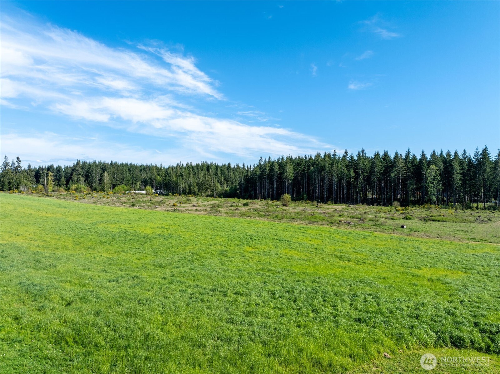 0 McGlaughlin Road, Unit 3 Winlock, WA 98596 - Photo 9 of 13 a view of a garden with a tree