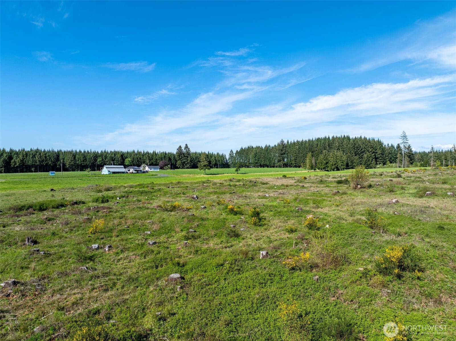 0 McGlaughlin Road, Unit 3 Winlock, WA 98596 - Photo 10 of 13 a view of a grassy field with trees