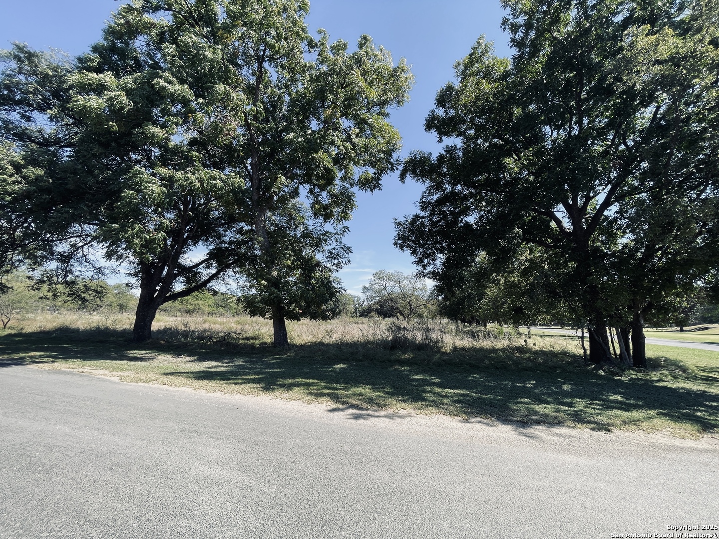 a view of road with tree
