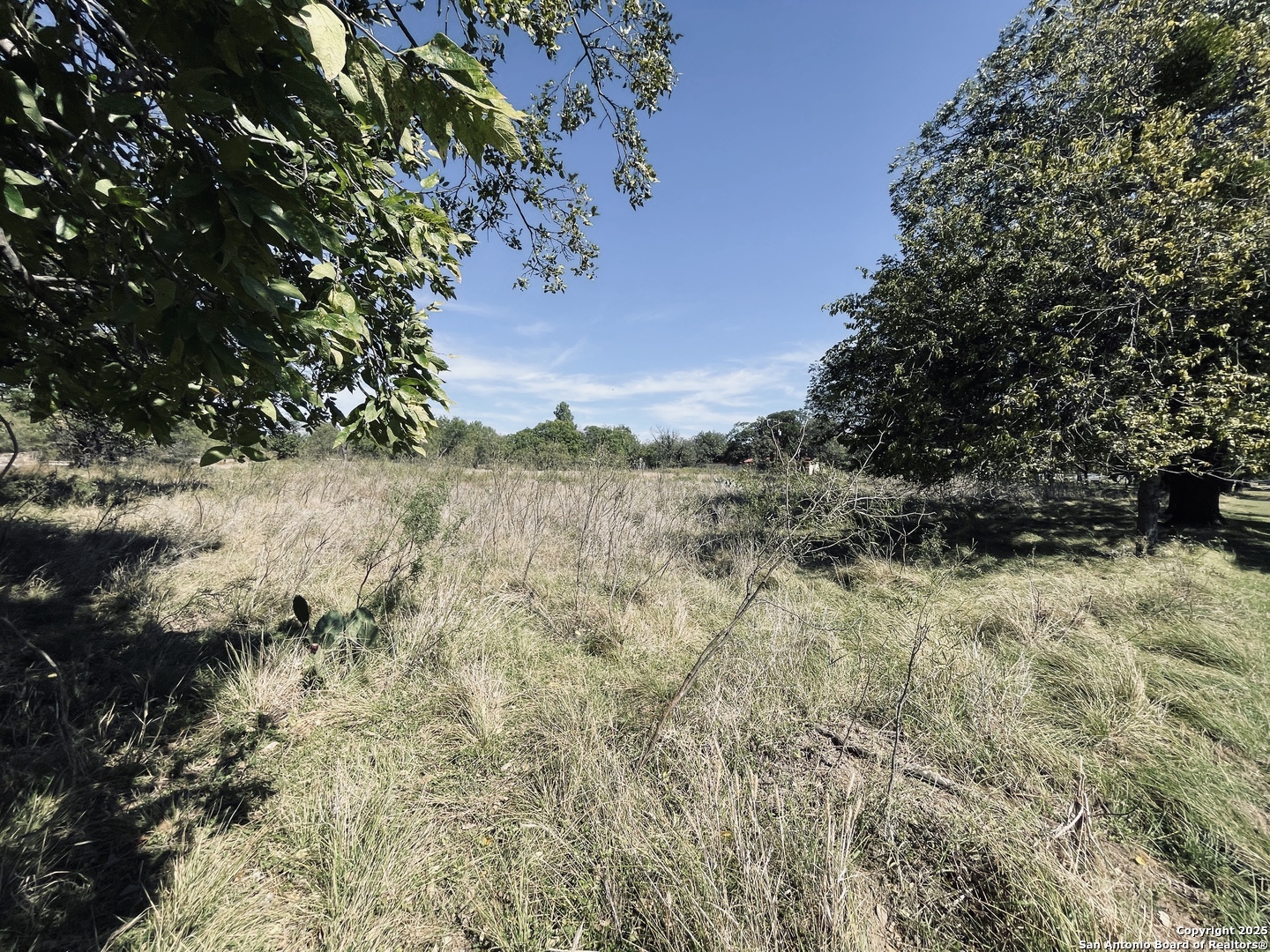 400 North 5th Street Junction, TX 76849 - Photo 11 of 11 a view of a yard with trees