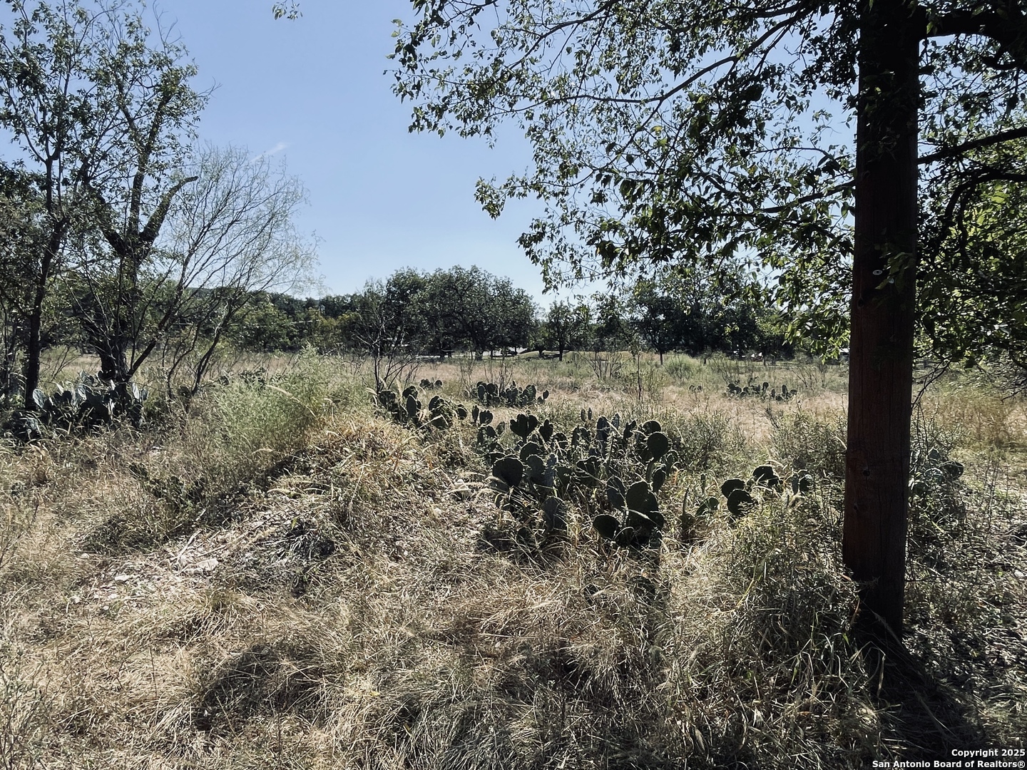 400 North 5th Street Junction, TX 76849 - Photo 4 of 11 a view of a forest with trees