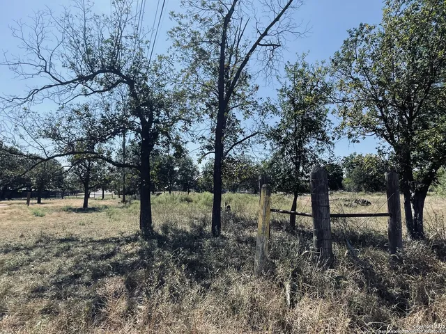 a view of a lake with a tree in the background