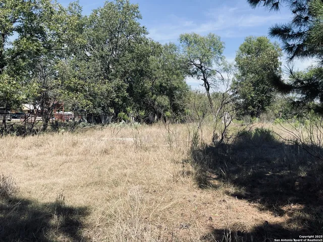 a view of dirt yard with a tree