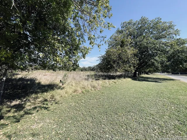 a view of a yard with trees