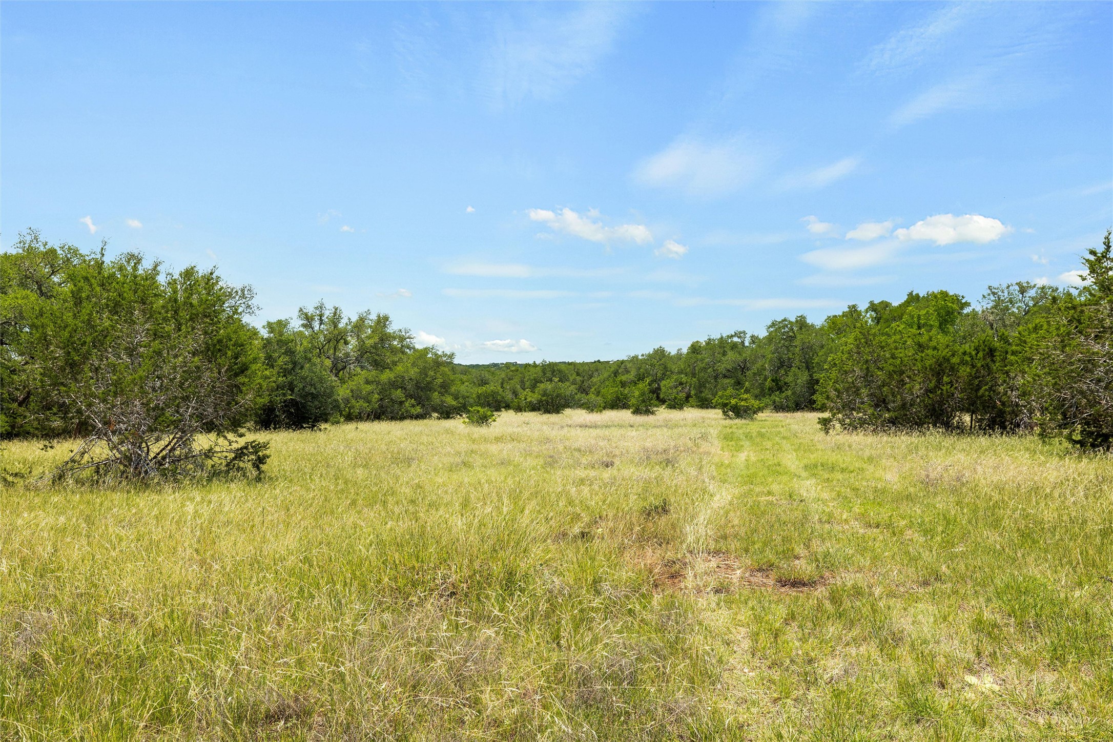 Tbd Posey Ranch Road Fischer, TX 78623 - Photo 1 of 1