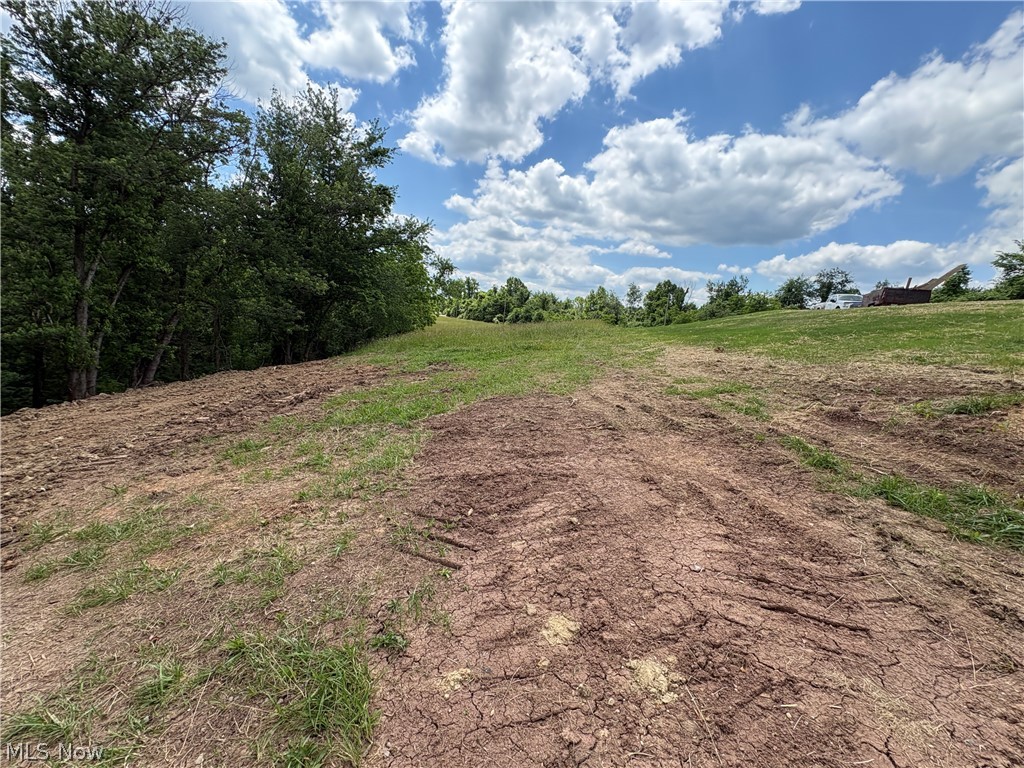 49628 Cain Ridge Road Clarington, OH 43915 - Photo 41 of 50