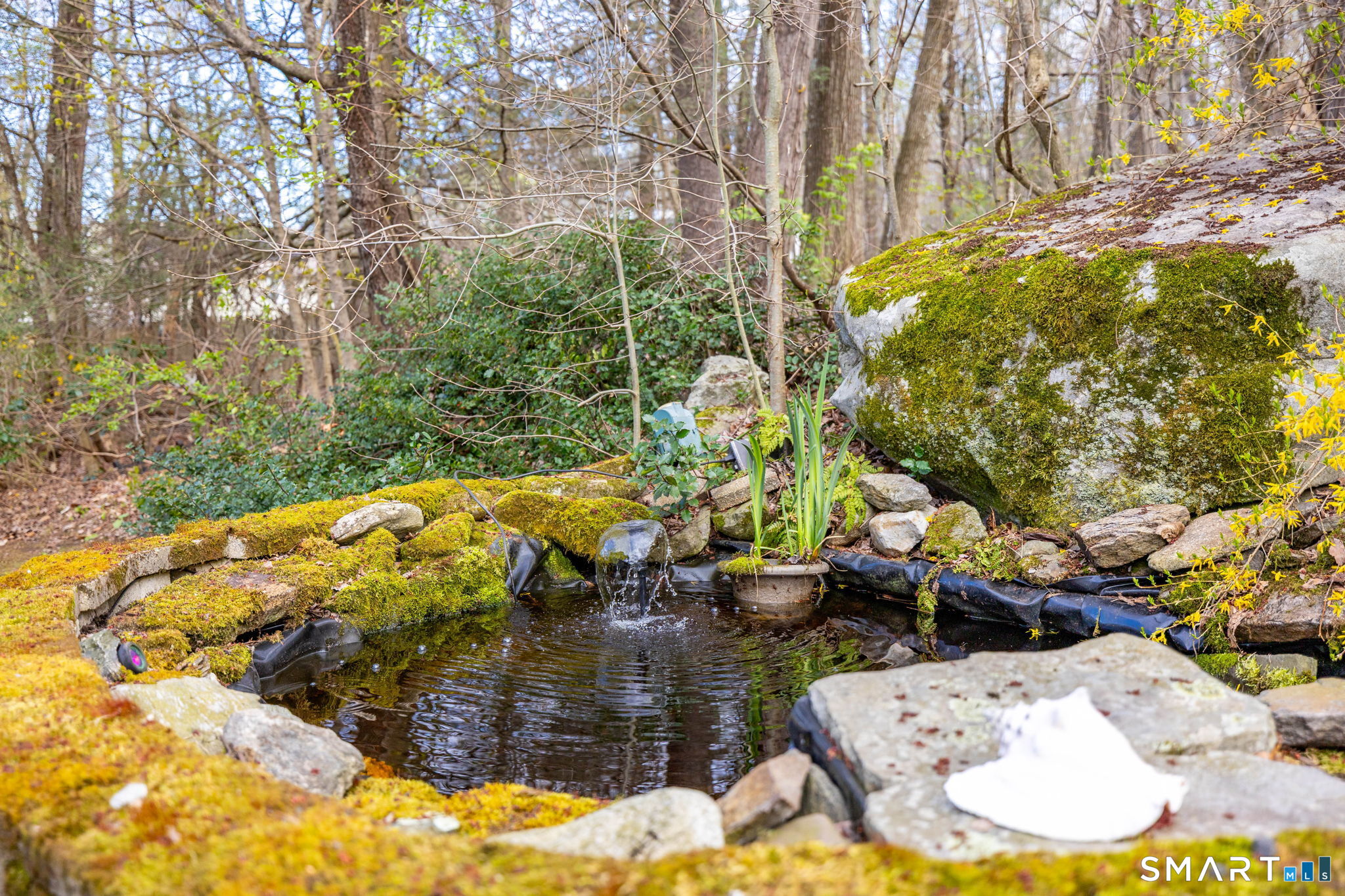 36 Sage Way Torrington, CT 06790 - Photo 27 of 40 Tranquil Koi pond (BYOF). Bring your own fish!