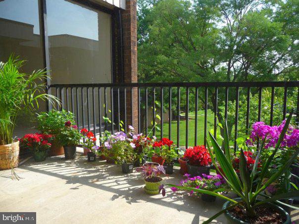 2107 Walsh View Terrace, Unit 302303 Silver Spring, MD 20902 - Photo 27 of 27 Gallery Image 27