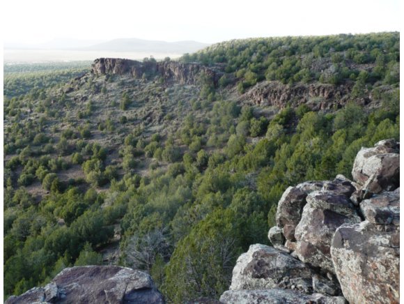 17 Shadow Rock Ranch Seligman, AZ 86337 - Photo 1 of 17 Primary Photo