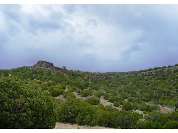 17 Shadow Rock Ranch Seligman, AZ 86337 - Photo 11 of 17 Additional Photo