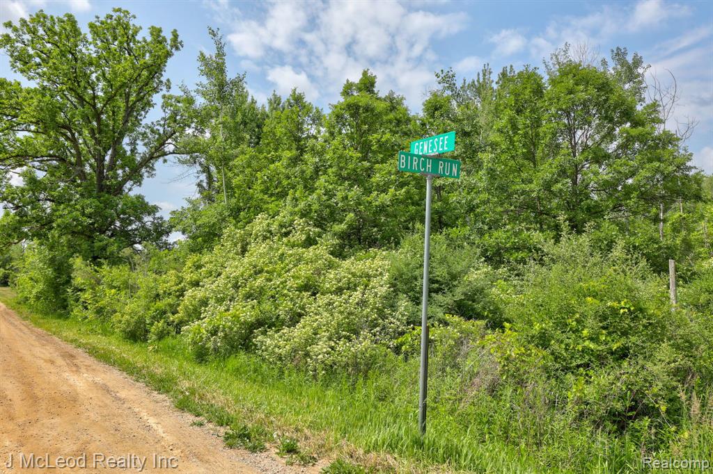 0330 Birch Run Road Millington, MI 48746 - Photo 27 of 34