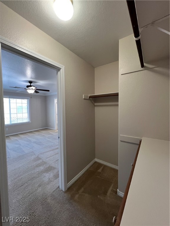 7195 Cestrum Road Las Vegas, NV 89113 - Photo 23 of 33 Spacious closet featuring carpet flooring and a ce
