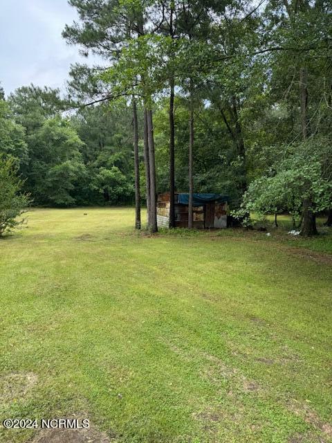 17981 Happy Times Road Hamlet, NC 28345 - Photo 6 of 20 IMG_0122