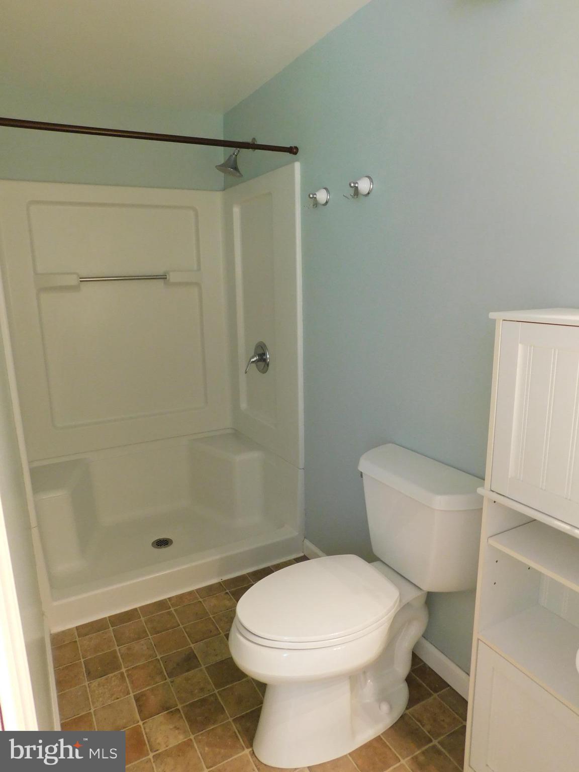 301 Animikean Ridge Hedgesville, WV 25427 - Photo 27 of 51 Master bath