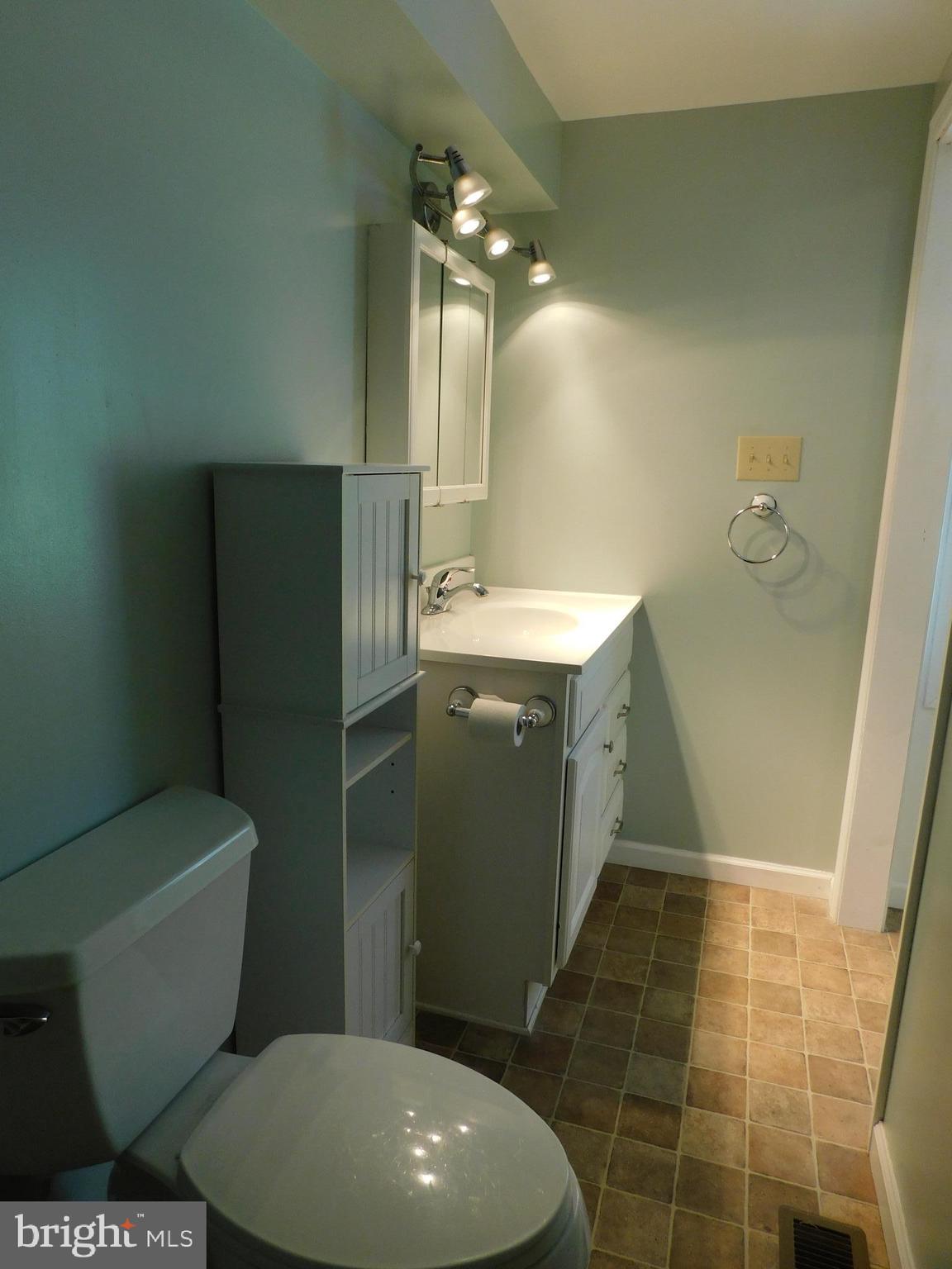 301 Animikean Ridge Hedgesville, WV 25427 - Photo 28 of 51 Master bath