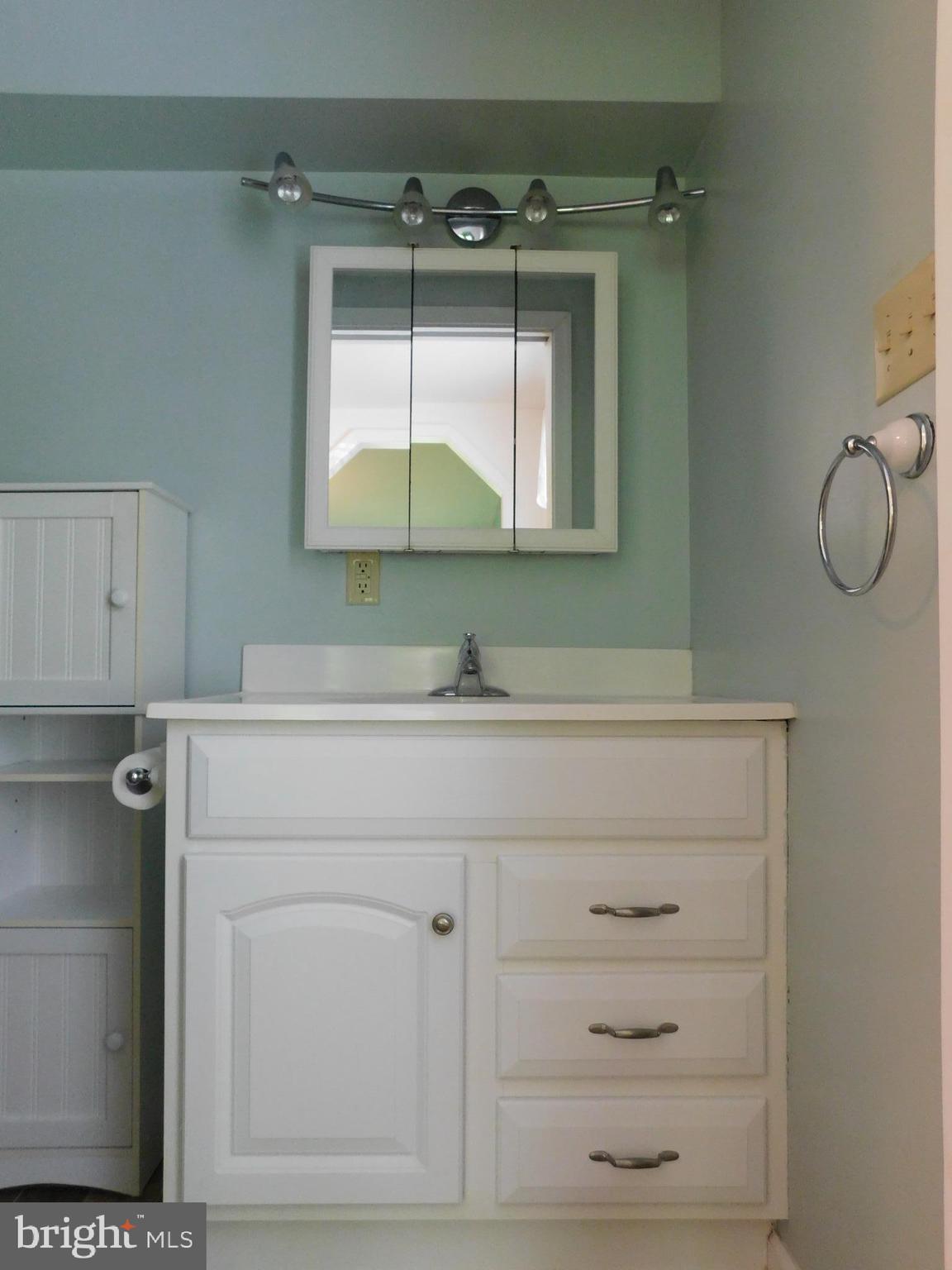 301 Animikean Ridge Hedgesville, WV 25427 - Photo 29 of 51 Master bath