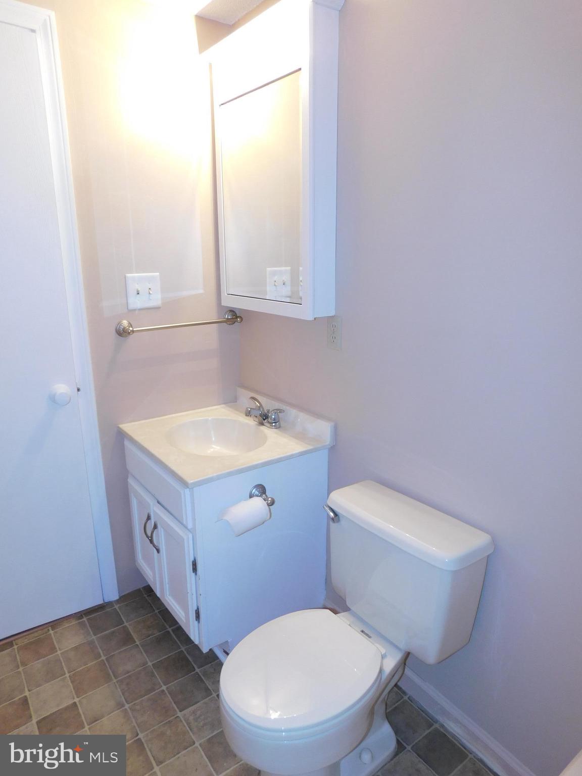 301 Animikean Ridge Hedgesville, WV 25427 - Photo 31 of 51 Full guest bath