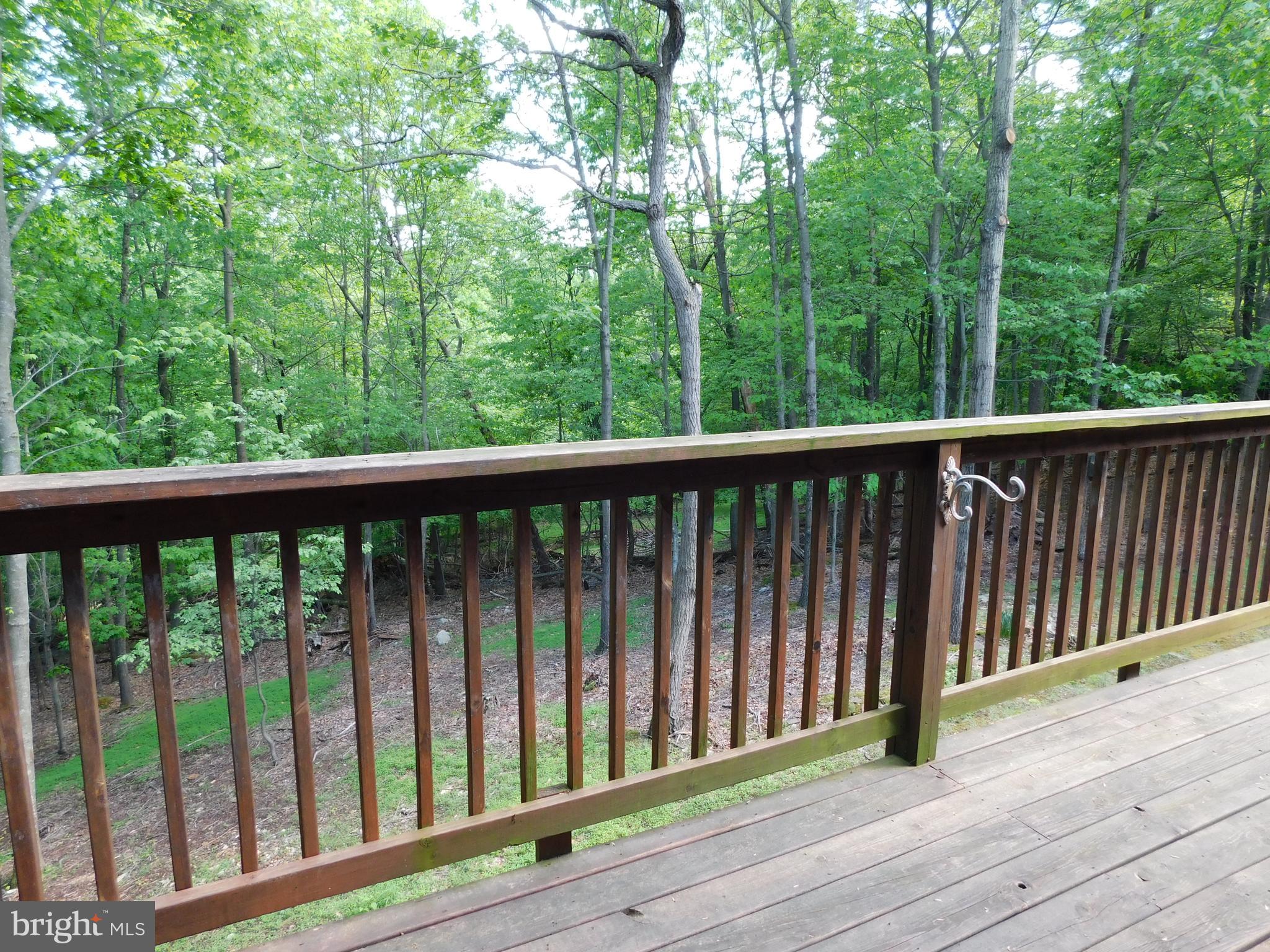 301 Animikean Ridge Hedgesville, WV 25427 - Photo 41 of 51 Wooded view
