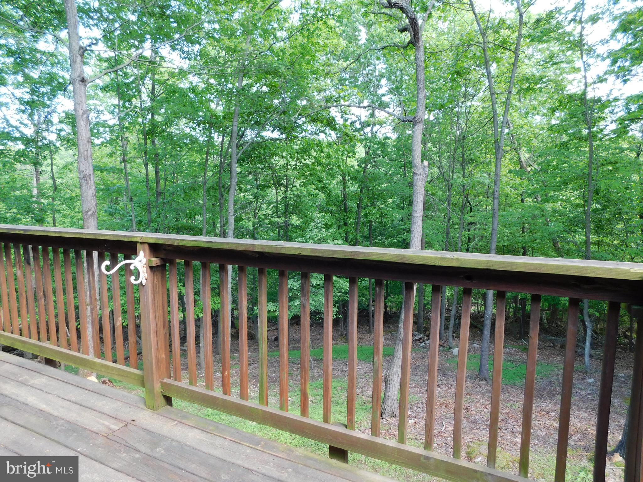 301 Animikean Ridge Hedgesville, WV 25427 - Photo 45 of 51 View from the open deck