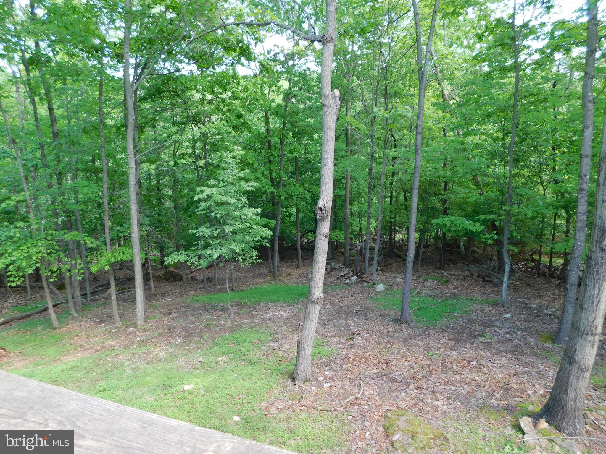 301 Animikean Ridge Hedgesville, WV 25427 - Photo 46 of 51 1.53 Acre Wooded home site