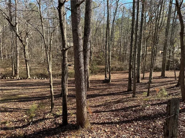 a view of a yard with large trees