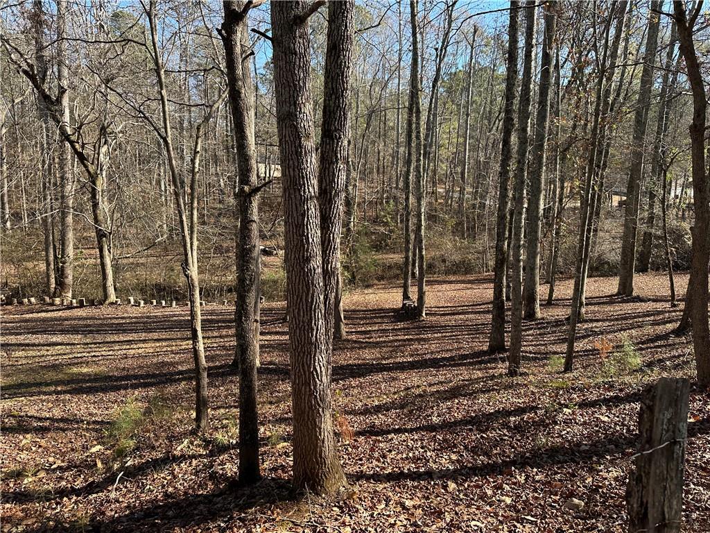 a view of a yard with large trees