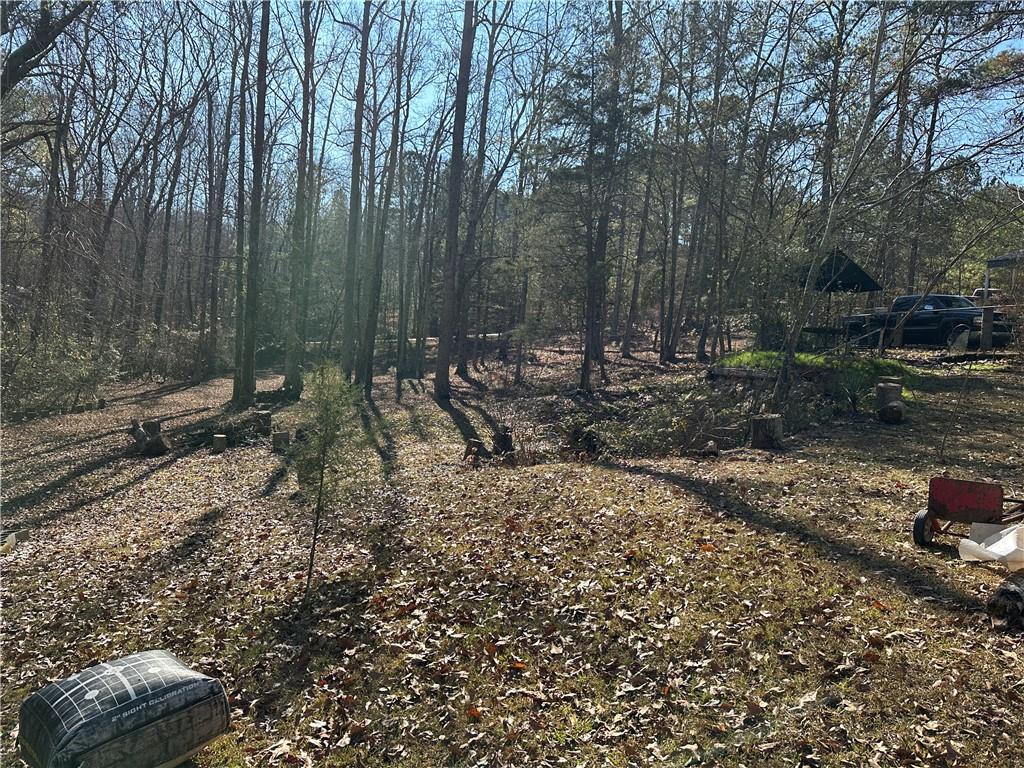 198 Sweetwater Trail Villa Rica, GA 30180 - Photo 12 of 35 a backyard of a house with lots of green space