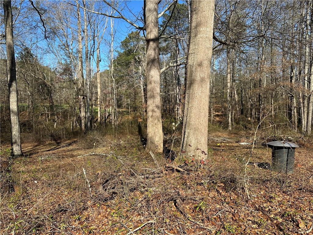 198 Sweetwater Trail Villa Rica, GA 30180 - Photo 13 of 35 a view of a yard with plants and trees