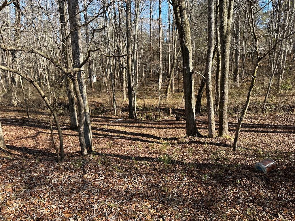 198 Sweetwater Trail Villa Rica, GA 30180 - Photo 2 of 35 a view of a yard with wooden fence