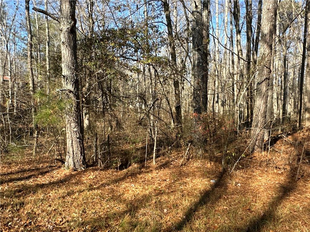 198 Sweetwater Trail Villa Rica, GA 30180 - Photo 31 of 35 a backyard of a house with a trees