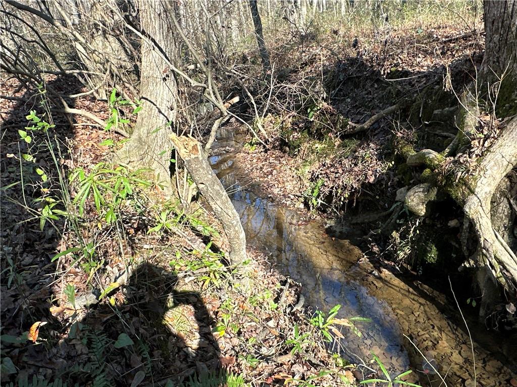 198 Sweetwater Trail Villa Rica, GA 30180 - Photo 33 of 35