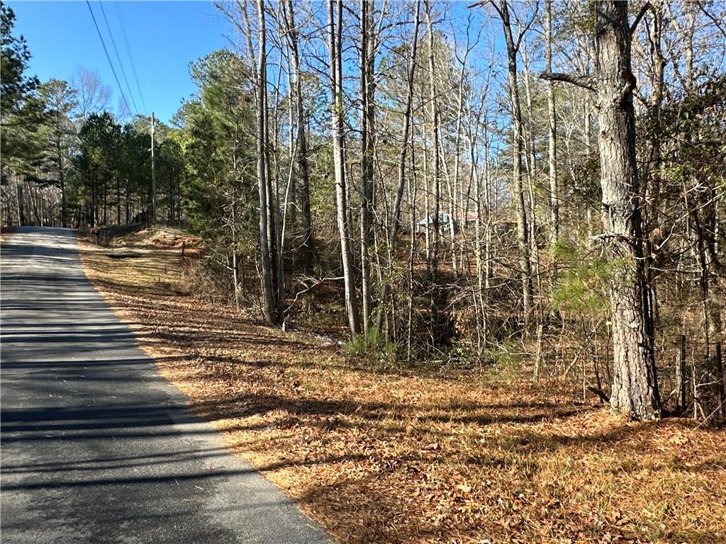 198 Sweetwater Trail Villa Rica, GA 30180 - Photo 34 of 35 a view of a backyard of the house