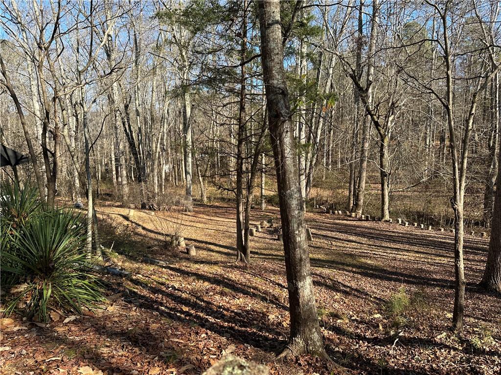 198 Sweetwater Trail Villa Rica, GA 30180 - Photo 6 of 35 a view of a yard with large trees