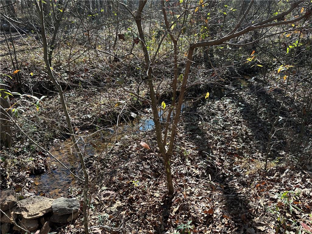 198 Sweetwater Trail Villa Rica, GA 30180 - Photo 8 of 35 a view of a tree
