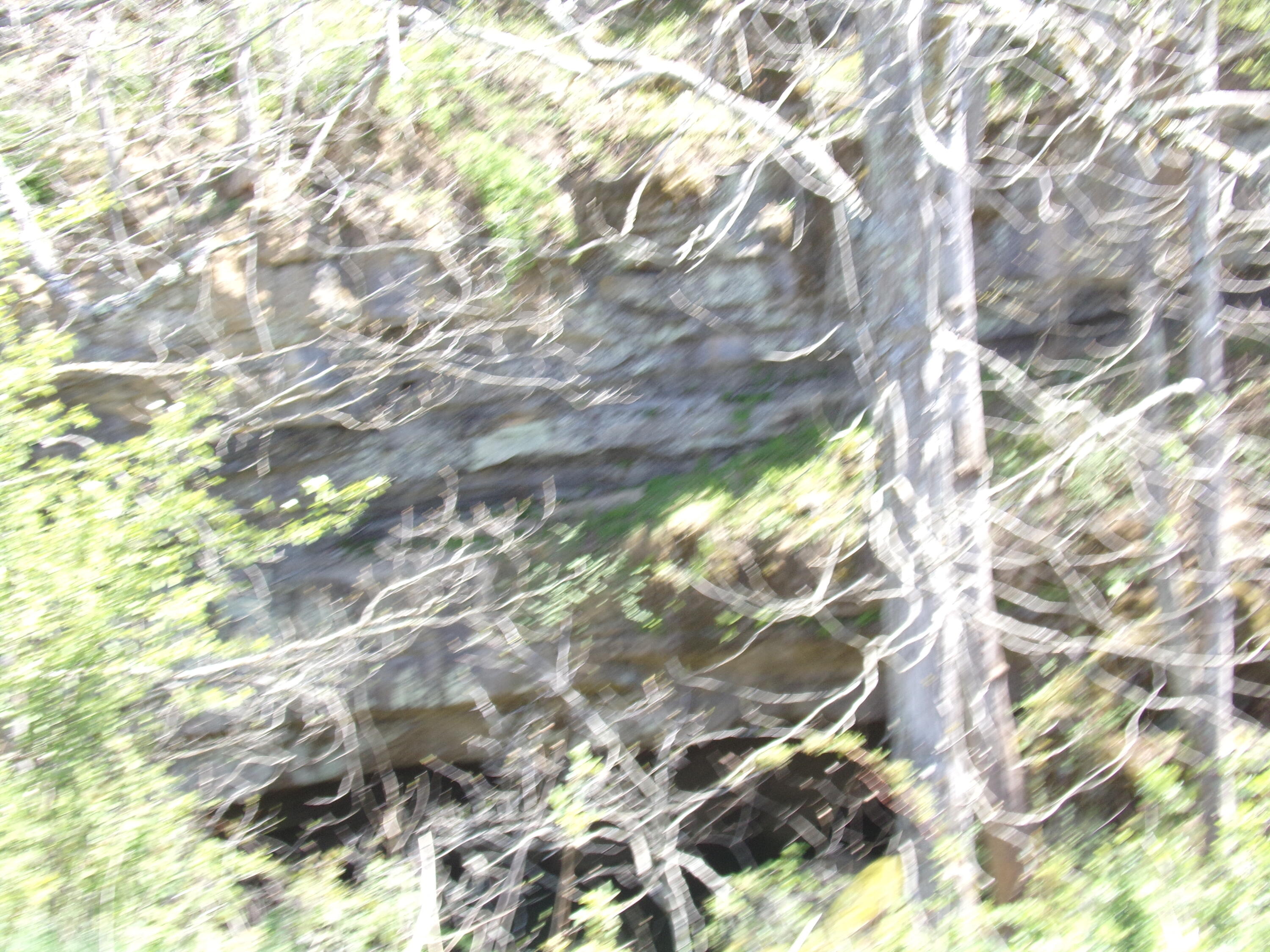 Friars Hill Road Williamsburg, WV 24991 - Photo 24 of 31 119_6889