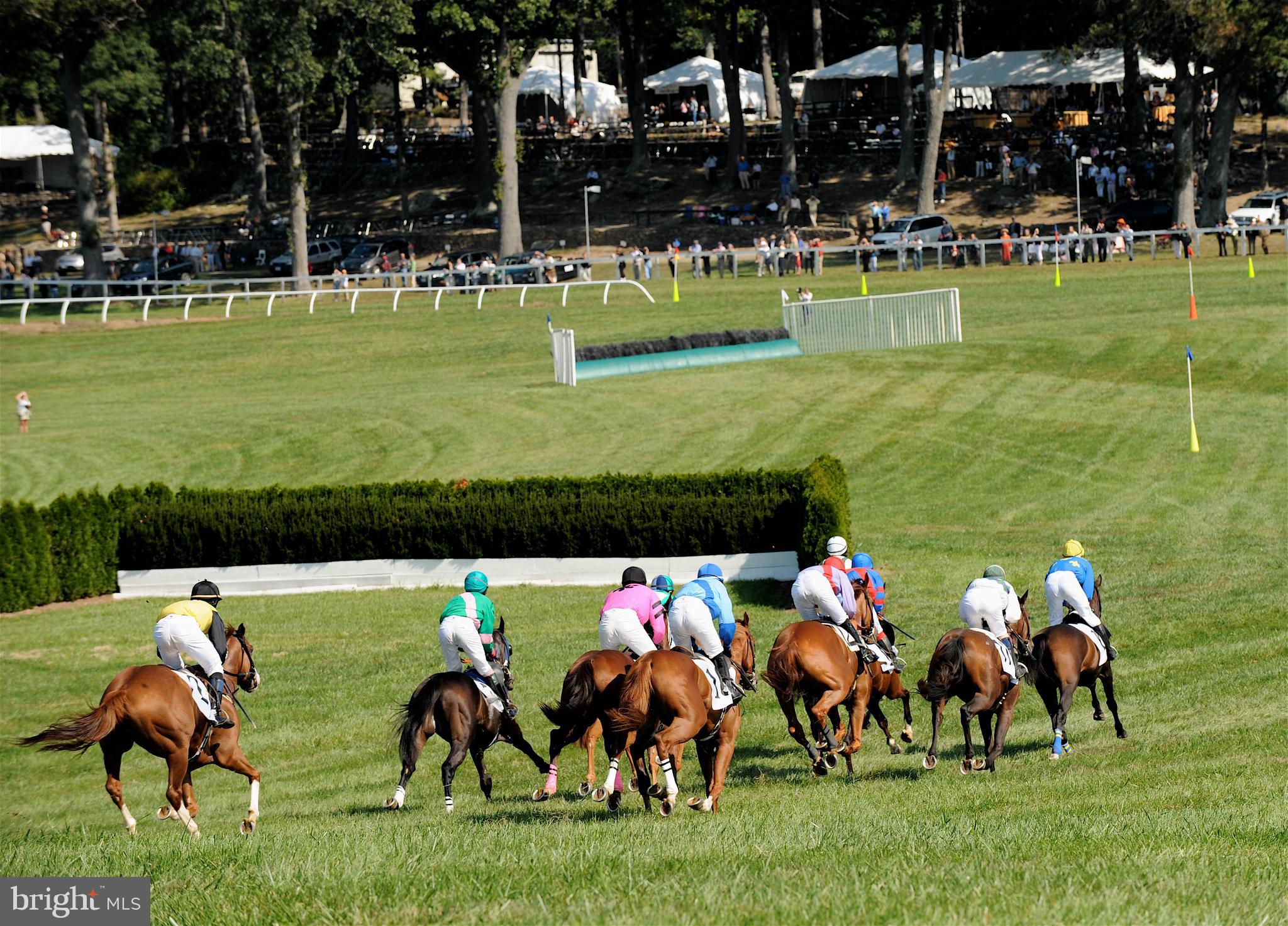 33195 Millville Road Upperville, VA 20184 - Photo 71 of 76 Enjoy local jump racing each spring and fall
