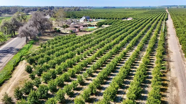 a view of a garden with a outdoor space