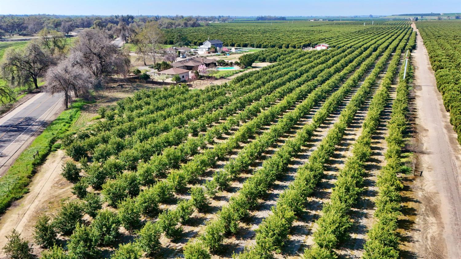 a view of a garden with a outdoor space